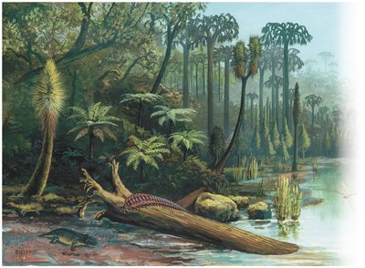 Swamp forest of the Carboniferous period