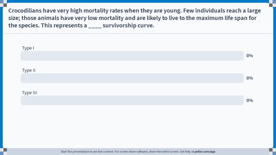 Elephants representing population dynamics