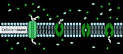 Diffusion illustration