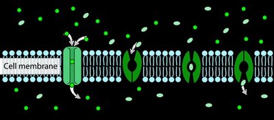 Diffusion illustration