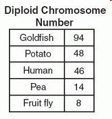 Diploid chromosome number table