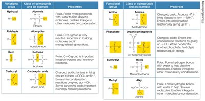 Table of functional groups in biomolecules