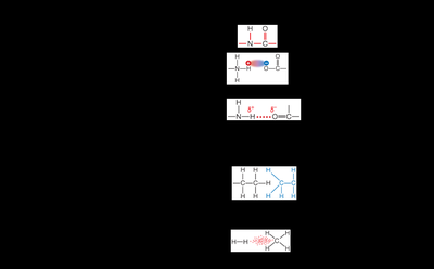 Types of chemical bonds in biological molecules