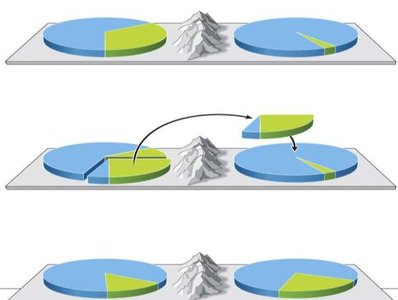 Gene flow between populations