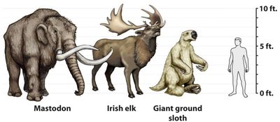 Extinct animals: Mastodon, Irish elk, Giant ground sloth