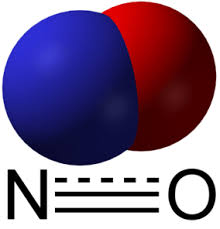 Molecular structure of nitric oxide (NO)