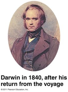 Darwin after his return from the voyage