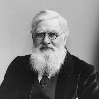 Alfred Russel Wallace portrait
