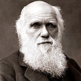 Charles Darwin portrait
