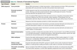 Summary table of transcriptional regulation elements