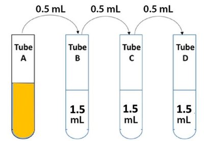 Diagram of dilution series with tubes labeled A, B, C, D