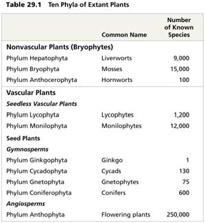 Table of ten phyla of extant plants