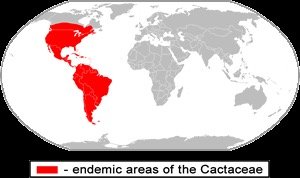 Map showing endemic areas of the Cactaceae