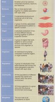 Levels of biological organization from atom to biosphere