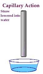Capillary action diagram