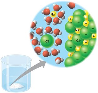 Hydration shell around ions