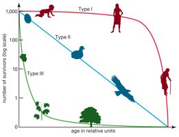 Survivorship curves: Type I, II, III