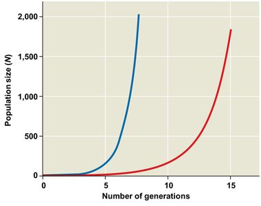 Exponential growth curve