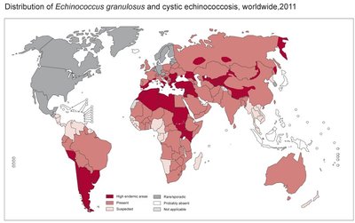 Global distribution of echinococcosis