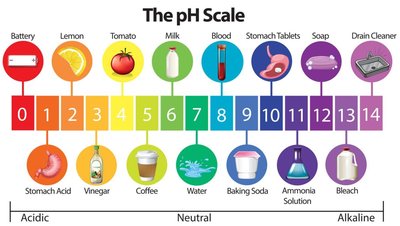 The pH scale with examples of substances