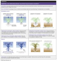 Experimental evidence for mycorrhizal mutualism