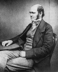 H.M.S. Beagle, Darwin's ship