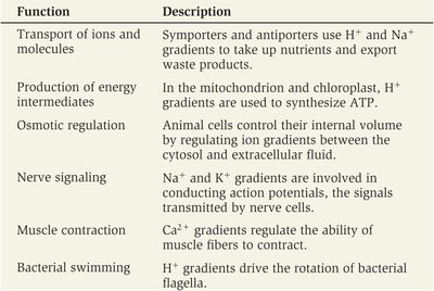 Table of ion gradient functions