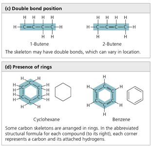 Carbon skeletons: double bonds and rings