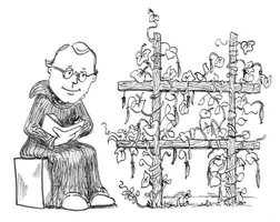 Mendel observing pea plants
