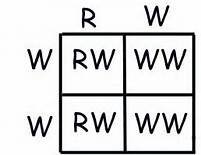 Punnett square for codominance