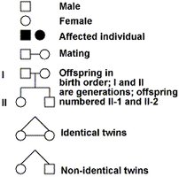 Pedigree symbols and conventions