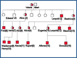 Pedigree of hemophilia in the British royal family