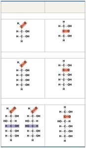 Structures of aldoses and ketoses