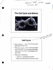 Cell Cycle and Mitosis - dividing cells