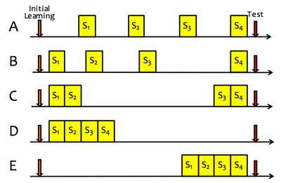 Diagram of study schedules and test timing