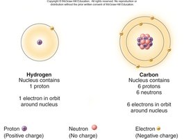 Hydrogen and Carbon atom structure