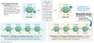 Starch and cellulose structures