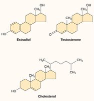 Steroid structures: cholesterol, testosterone, estradiol