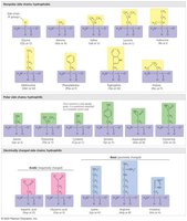 The 20 amino acids of proteins