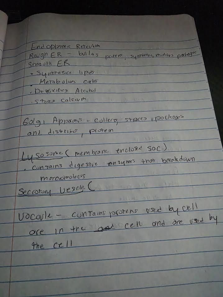Handwritten notes on cell organelles