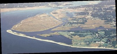 Aerial view of an ecosystem showing land, water, and vegetation