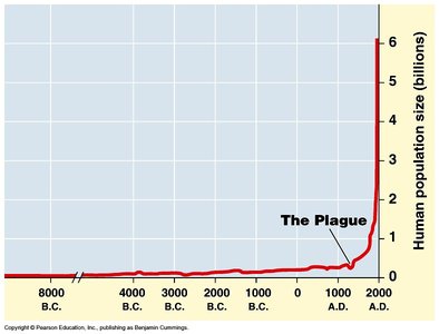 Graph of human population growth over time