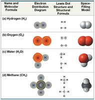 Examples of covalent bonds and compounds