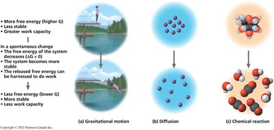 Spontaneous and non-spontaneous processes