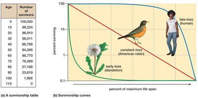 Survivorship curves and table