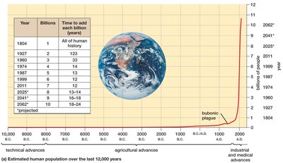 Estimated human population growth over the last 12,000 years