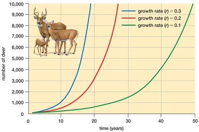 Graph showing exponential growth of deer populations at different growth rates