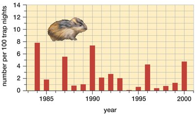 Boom-and-bust cycles in lemming populations