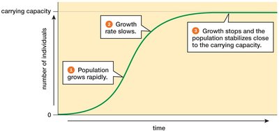 Logistic population growth curve