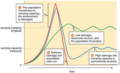 Consequences of exceeding carrying capacity
